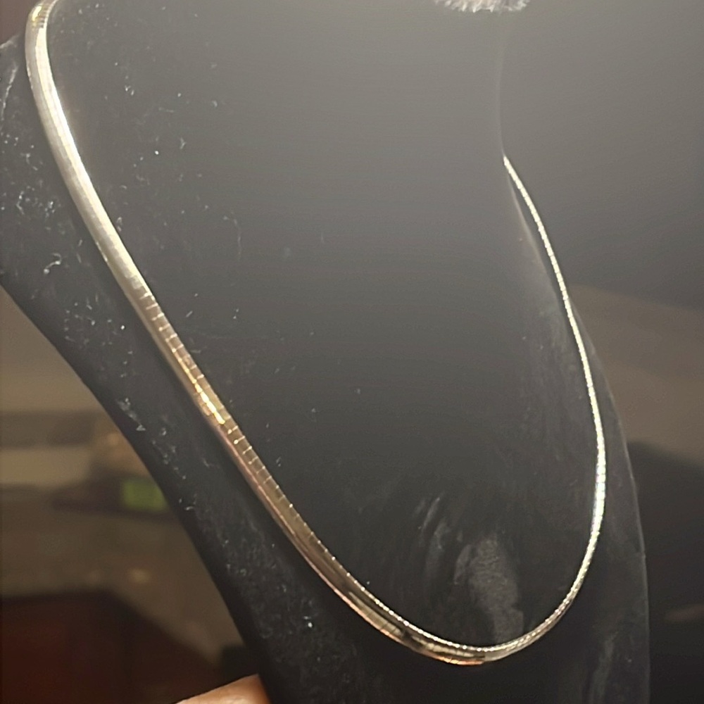 Omega silver necklace